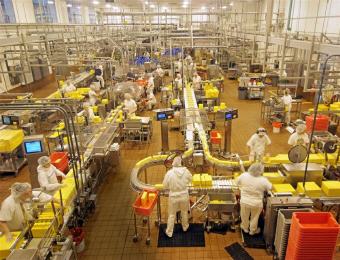 Warehouses pest control 1 Warehouse Pest Control
