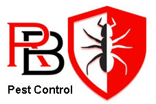 Pest Control Liverpool